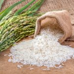 Onpeco advierte que proteger el arroz dominicano es una decisión estratégica de seguridad alimentaria