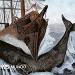 El misterioso órgano de los cachalotes que les da fuerza para hundir barcos