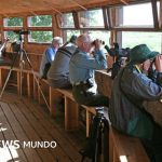 Cómo observar pájaros ralentiza el declive de nuestro cerebro (y nos hace sonreír de nuevo)