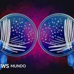 Qué es el misterio de las asimetrías de la naturaleza por el que dos investigadores ganaron el Nobel de Química