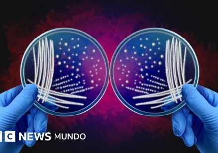 Qué es el misterio de las asimetrías de la naturaleza por el que dos investigadores ganaron el Nobel de Química