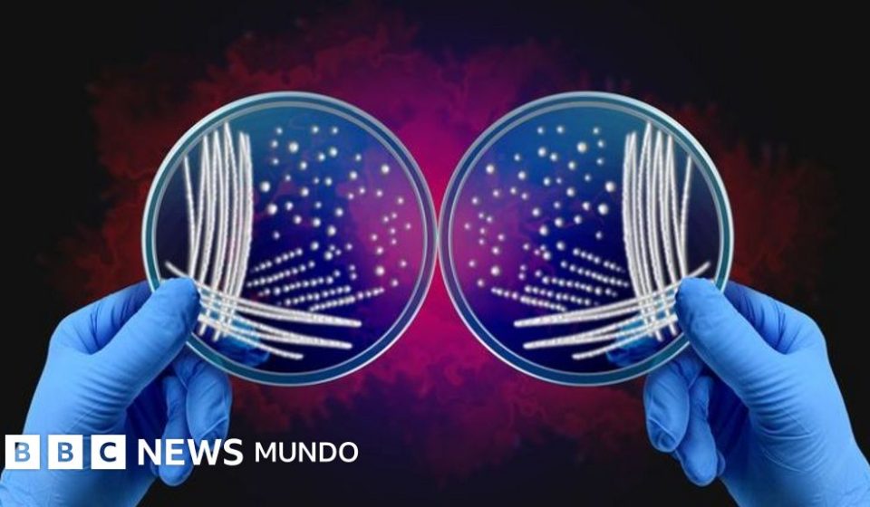 Qué es el misterio de las asimetrías de la naturaleza por el que dos investigadores ganaron el Nobel de Química