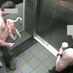Canadian tourist found guilty of animal cruelty after stealing Las Vegas flamingo from enclosure
