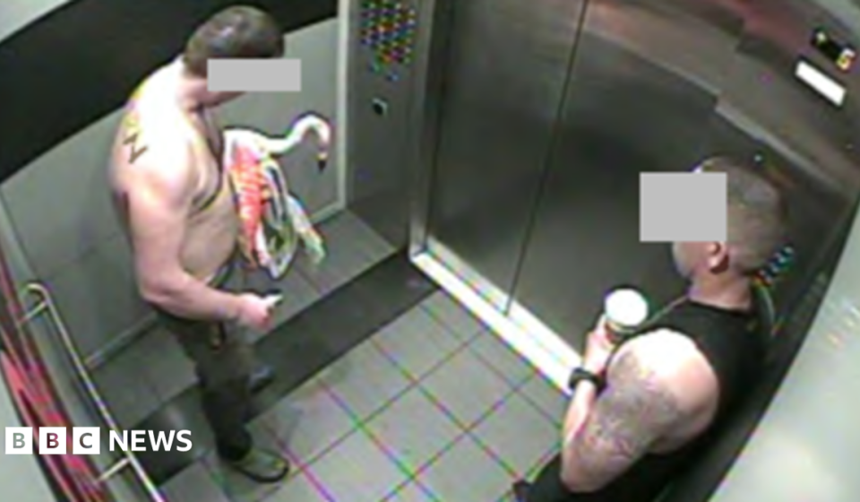 Canadian tourist found guilty of animal cruelty after stealing Las Vegas flamingo from enclosure