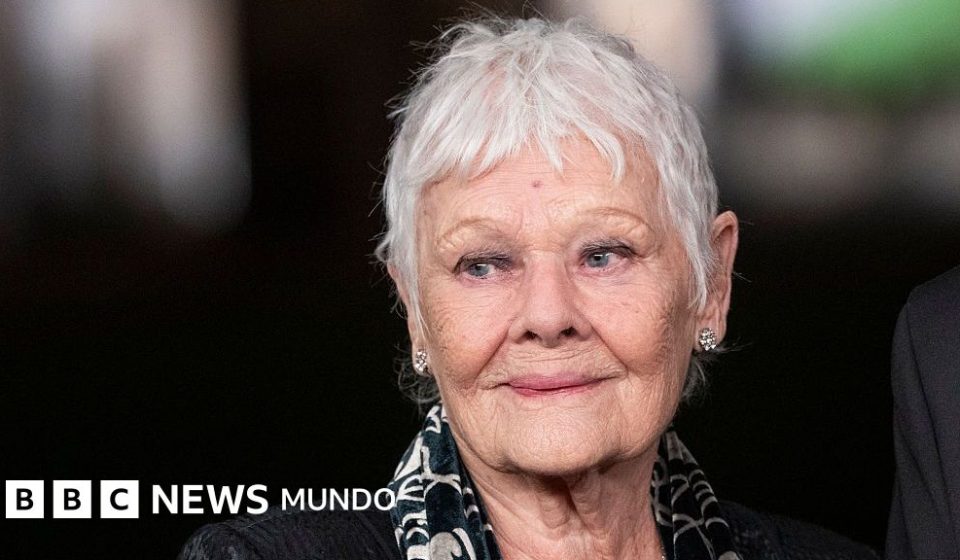 "Ya no puedo hacer teatro, ni cine, ni leer": la enfermedad que ha frenado la carrera de la legendaria actriz británica Judi Dench