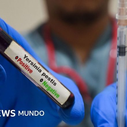 Qué es y cómo se propaga la peste neumónica que se estudia en el laboratorio de Siberia en el que falleció una trabajadora