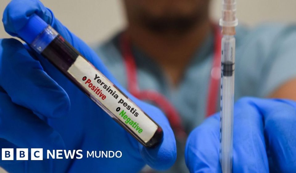Qué es y cómo se propaga la peste neumónica que se estudia en el laboratorio de Siberia en el que falleció una trabajadora