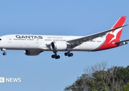 Qantas flight grounded after bedbug outbreak