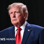 Trump anuncia un acuerdo con Putin para que Rusia libere miles de toneladas de diésel al mercado mundial