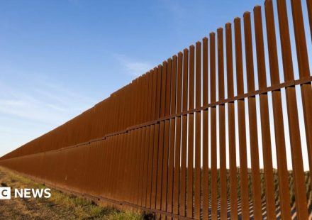 Five ways Trump has changed immigration in the US