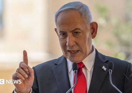 Netanyahu says Flydubai attacker had 'Islamist radical indoctrination'