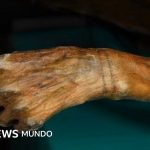 Momias congeladas y rutas vikingas: los secretos que está revelando el derretimiento de los hielos