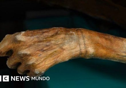 Momias congeladas y rutas vikingas: los secretos que está revelando el derretimiento de los hielos