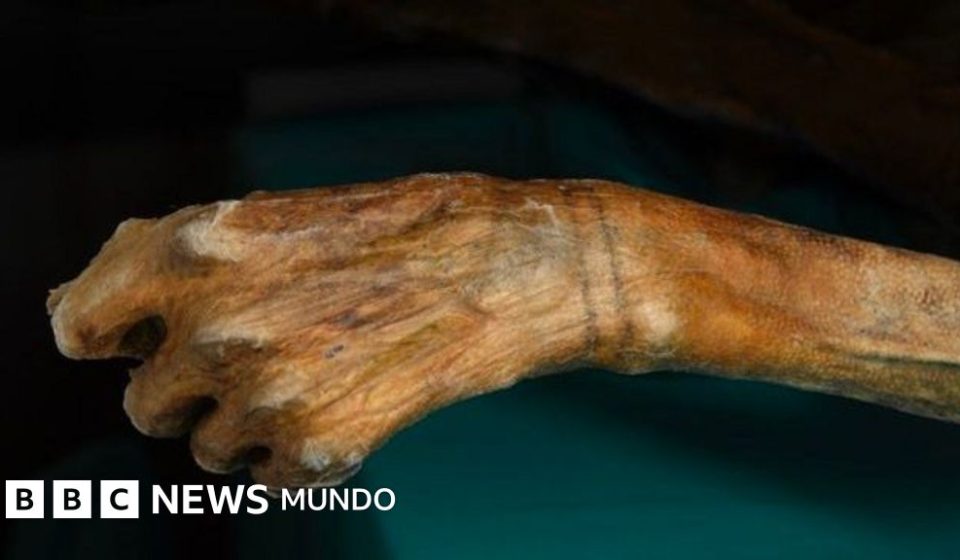 Momias congeladas y rutas vikingas: los secretos que está revelando el derretimiento de los hielos