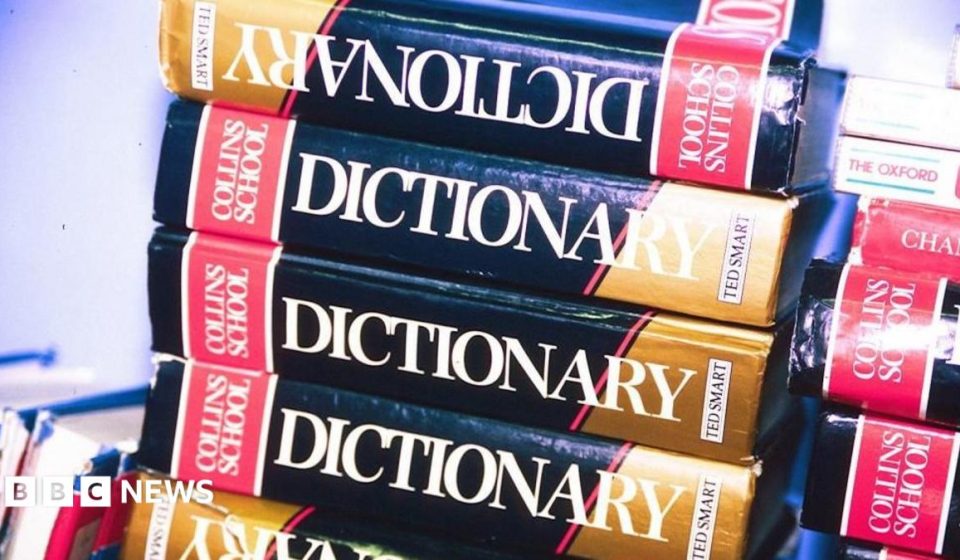 'Maxxing' selected as Dictionary.com word of the year