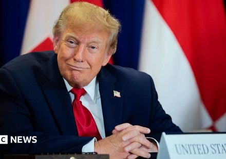 Trump's AI rebrand causes 'unprecedented' demand for Slovenian website names