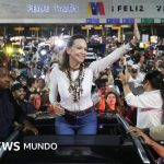"Estoy aquí. Con ustedes": la líder opositora María Corina Machado regresa a Venezuela 10 meses después
