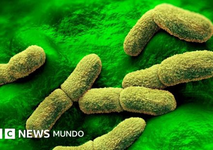 EE.UU. "sigue de cerca" el caso de una científica rusa que falleció en un centro de investigación de la peste en Siberia
