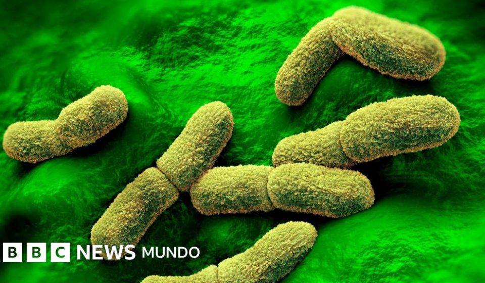 EE.UU. "sigue de cerca" el caso de una científica rusa que falleció en un centro de investigación de la peste en Siberia