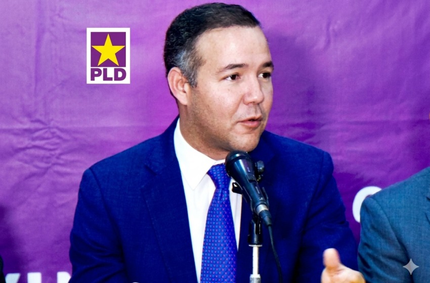 Johnny Pujols afirma que el PLD está en situación privilegiada para 2028