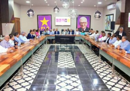 PLD amplía comisión para avanzar en su estructura organizativa y electoral