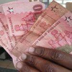 Can Zimbabwe’s ZiG win trust and replace the US dollar?