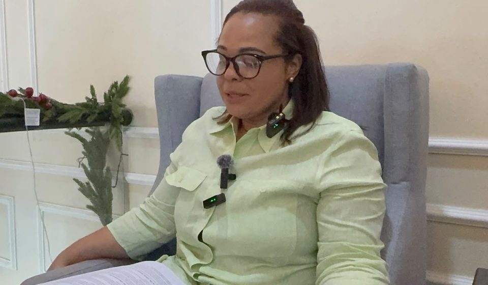 Yaniris Peña cuestiona propuestas para garantizar inclusión económica de comerciantes de Dajabón
