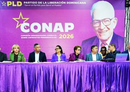 PLD llama su militancia a mantener disciplina y serenidad tras suspensión de consulta