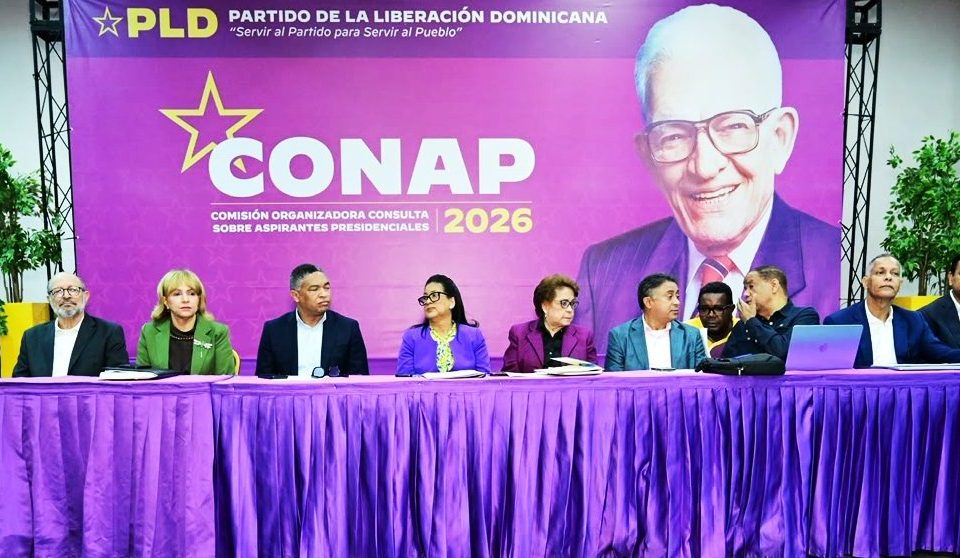 PLD llama su militancia a mantener disciplina y serenidad tras suspensión de consulta
