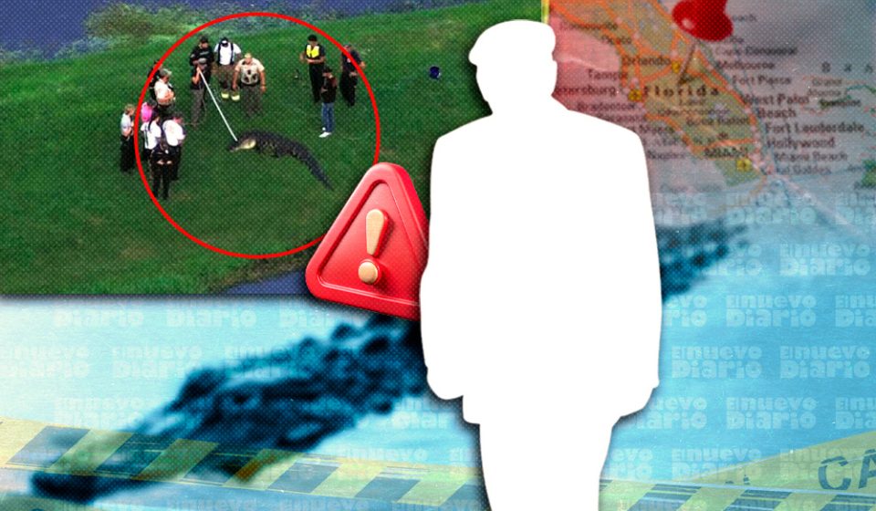 Muere un hombre de 71 años tras ser atacado por un caimán de 3,6 metros en Florida