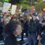 New York police push politician to ground during anti-ICE protest