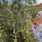 The Muslims finding belonging in southern Spain