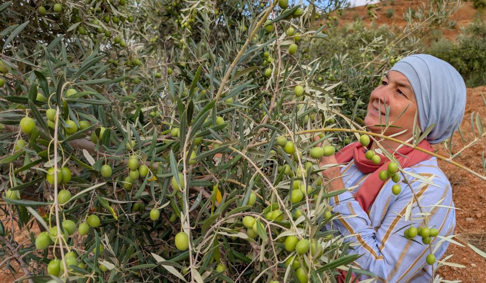 The Muslims finding belonging in southern Spain