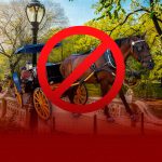 Nueva York se encamina a prohibir los carruajes tirados por caballos a partir de 2028