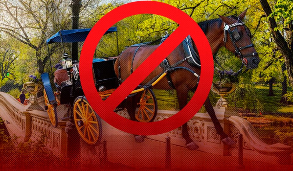 Nueva York se encamina a prohibir los carruajes tirados por caballos a partir de 2028