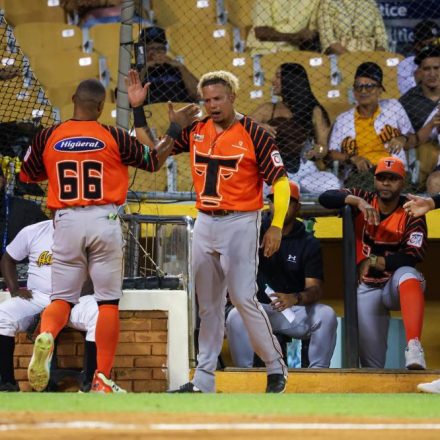 Los Toros derrotan a las Águilas en el Estadio Cibao con bateo de Noel y Celestino