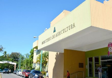 Agricultura incauta 66 toneladas de insecticidas en muelle de Haina