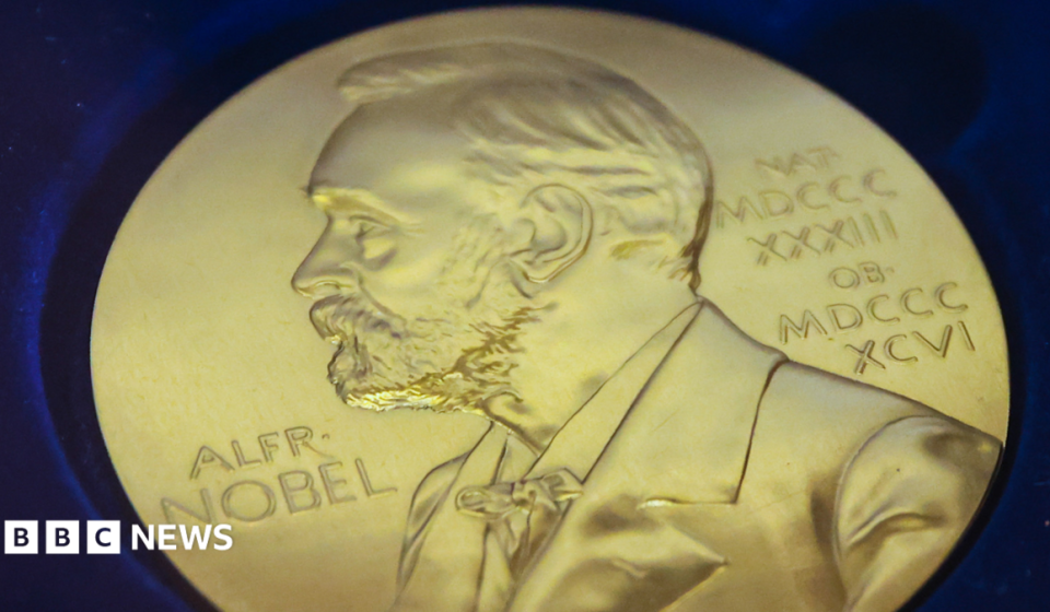 Chemistry Nobel awarded for solving mystery of life's asymmetry