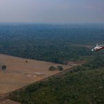 Brazil’s Amazon deforestation hits lowest level on record
