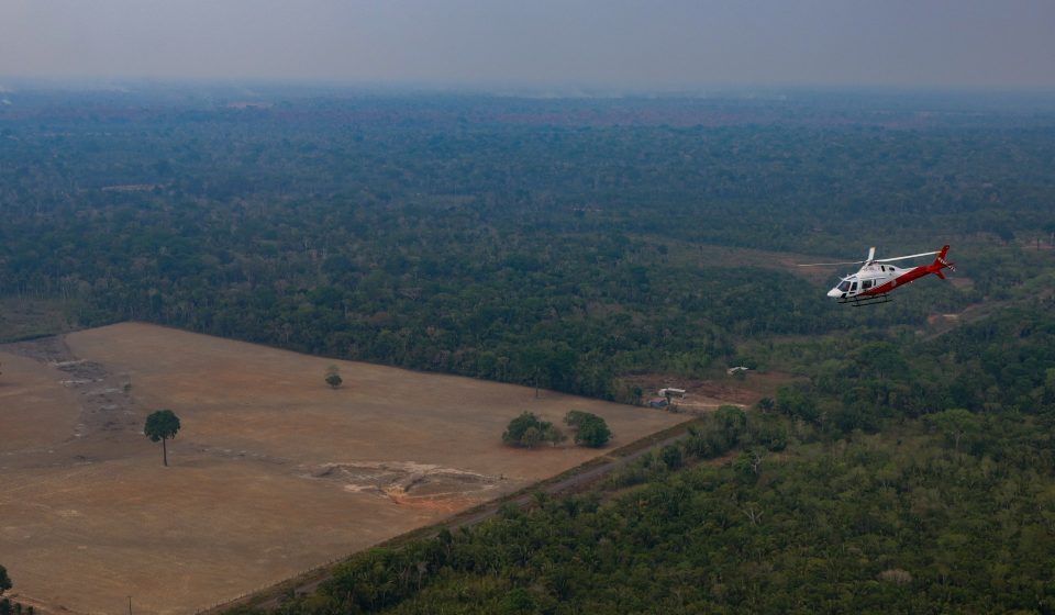 Brazil’s Amazon deforestation hits lowest level on record