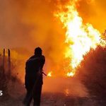 Algeria introduces death penalty for arsonists after deadly wildfires