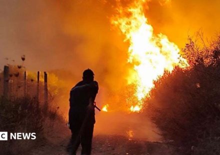 Algeria introduces death penalty for arsonists after deadly wildfires