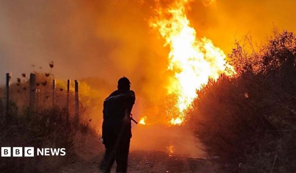 Algeria introduces death penalty for arsonists after deadly wildfires