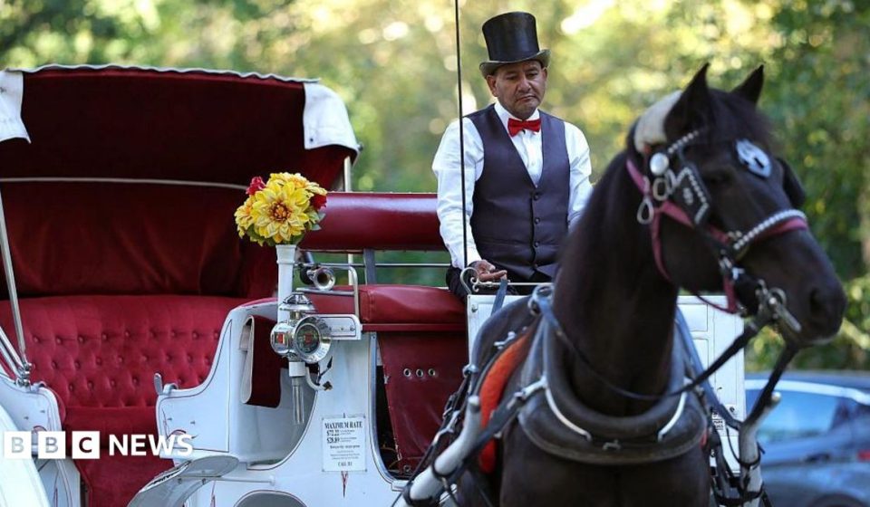 New York bans horse-drawn carriages over safety and abuse concerns