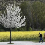 Esperanza de vida global se recupera tras la pandemia