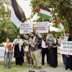 Activists protest Indian police raid over kite-flying event for Palestine