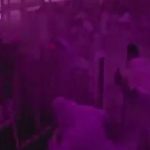 CCTV shows moment of deadly Houthi strike on Riyadh airport