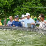 Ministerio de Agricultura impulsa valor a producción rural en Higüey