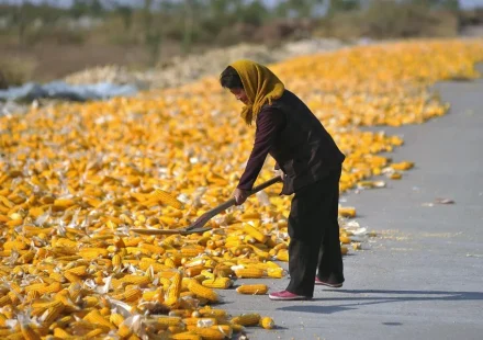 G20 condena el uso de alimentos como herramienta de presión económica o política