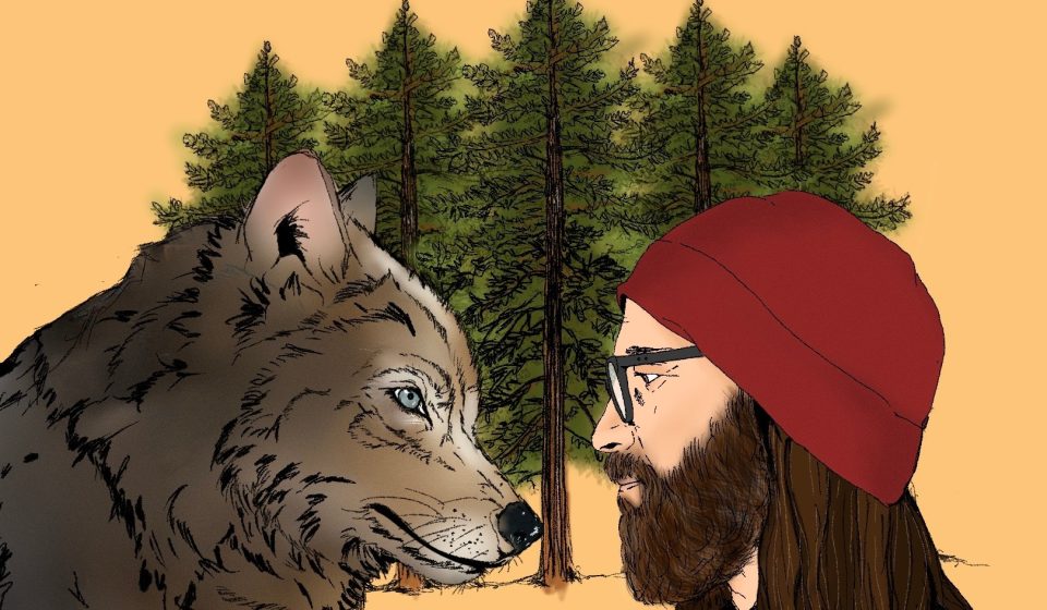 Wolf encounter: A photographer on what humans have lost